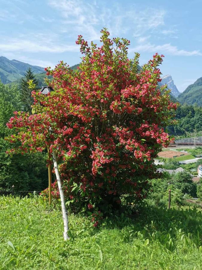 Ferienwohnung Im Nationalpark Gesaeuse Hieflau 외부 사진