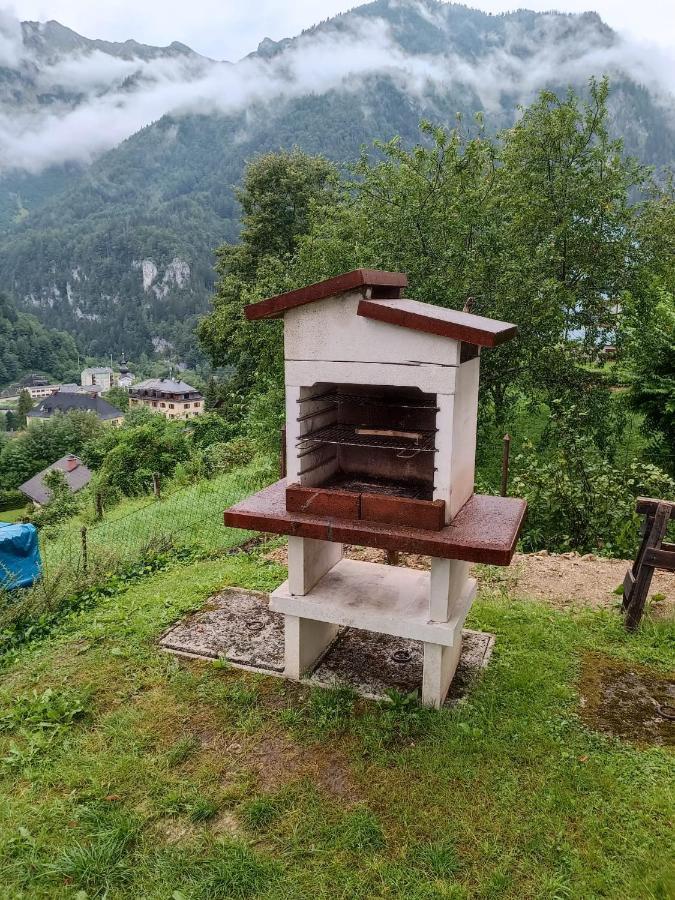 Ferienwohnung Im Nationalpark Gesaeuse Hieflau 외부 사진
